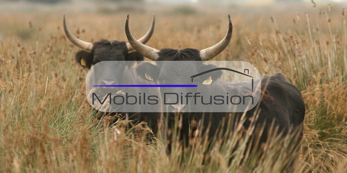 Mobils Diffusion - Terrain pour mobil-home en camping PACA en Camargue