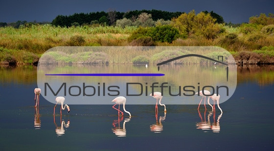 Mobils Diffusion - Mobile home plot on a campsite in the Camargue ponds